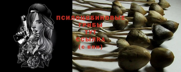 прущий лед Аркадак