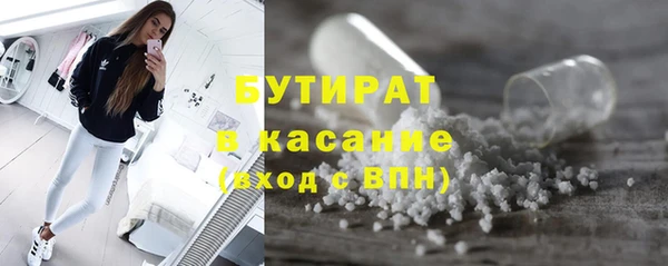 прущие грибы Саяногорск