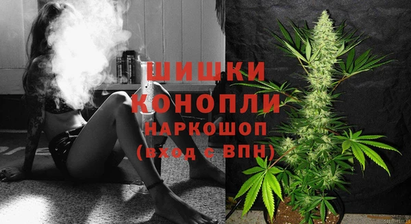 прущие крисы Арсеньев
