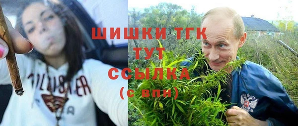 сатива Армянск