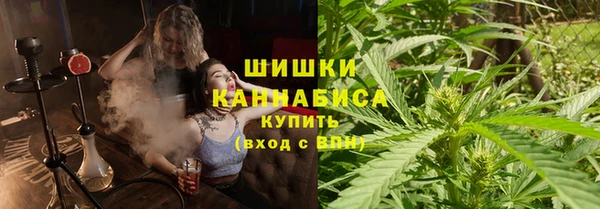 сатива Армянск
