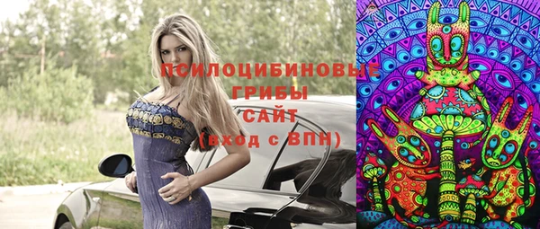 сатива Армянск