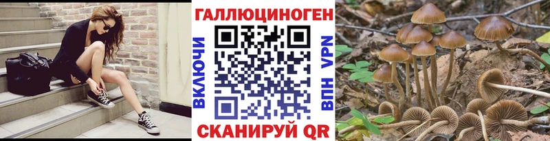 omg ССЫЛКА  Остров  Псилоцибиновые грибы Magic Shrooms 